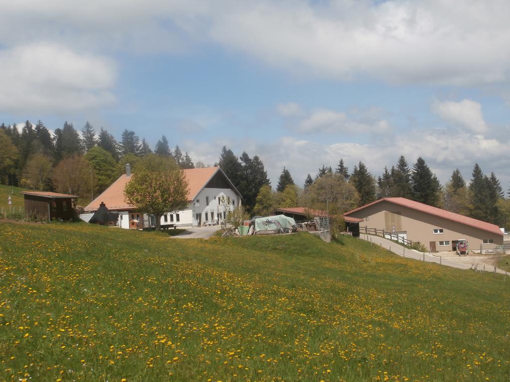 B&B La Ferme De Pouillerel La Chaux De Fonds Екстер'єр фото